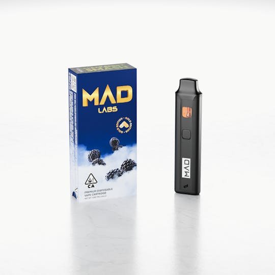 Blackberry Smash - All-in-One Gold Edition 1G